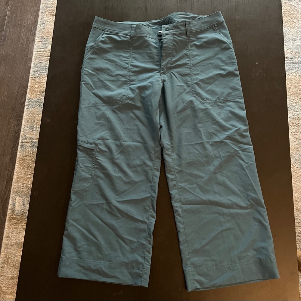 Patagonia Hiking Pants